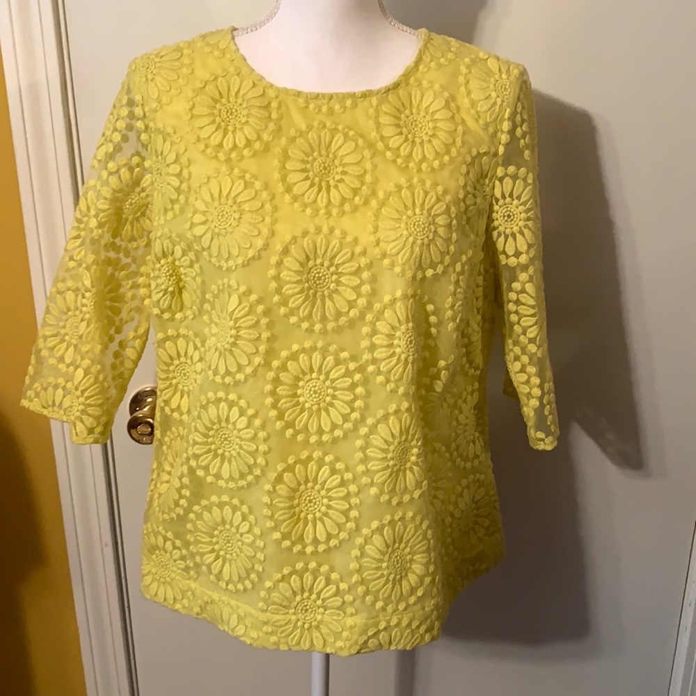 NWT Boden Floral Embroidered Organza Top 12
